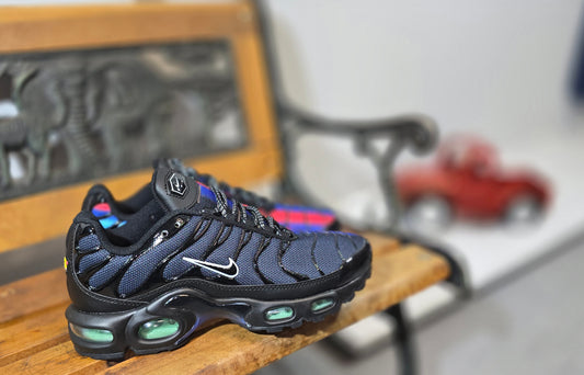 NIKE AIR MAX TN BICOLORE